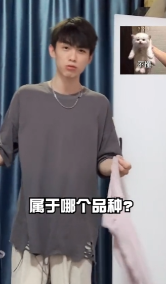 杨三岁图5