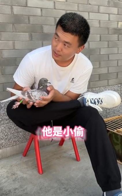 罗小龙图4