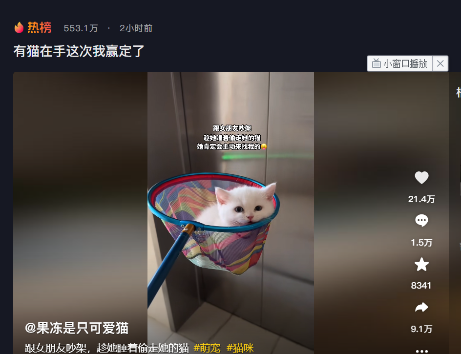果冻是只可爱猫图5