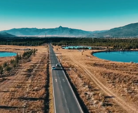 苏夏图2