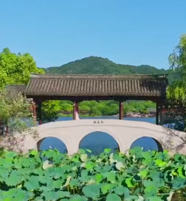 苏夏图6