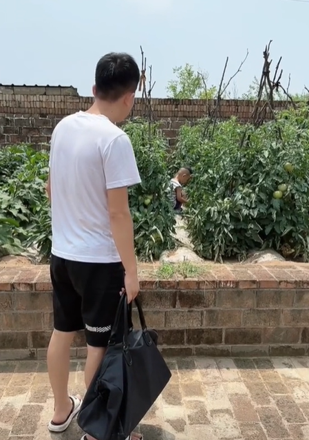 步步宝贝