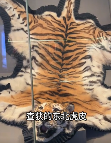 北京导游君君图3