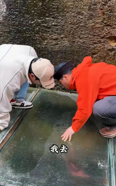 小萌逛北京图2
