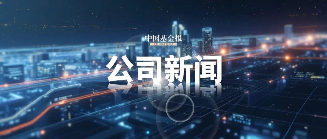 红人圈动态 | 上半年，量贩零食龙头还在高增长