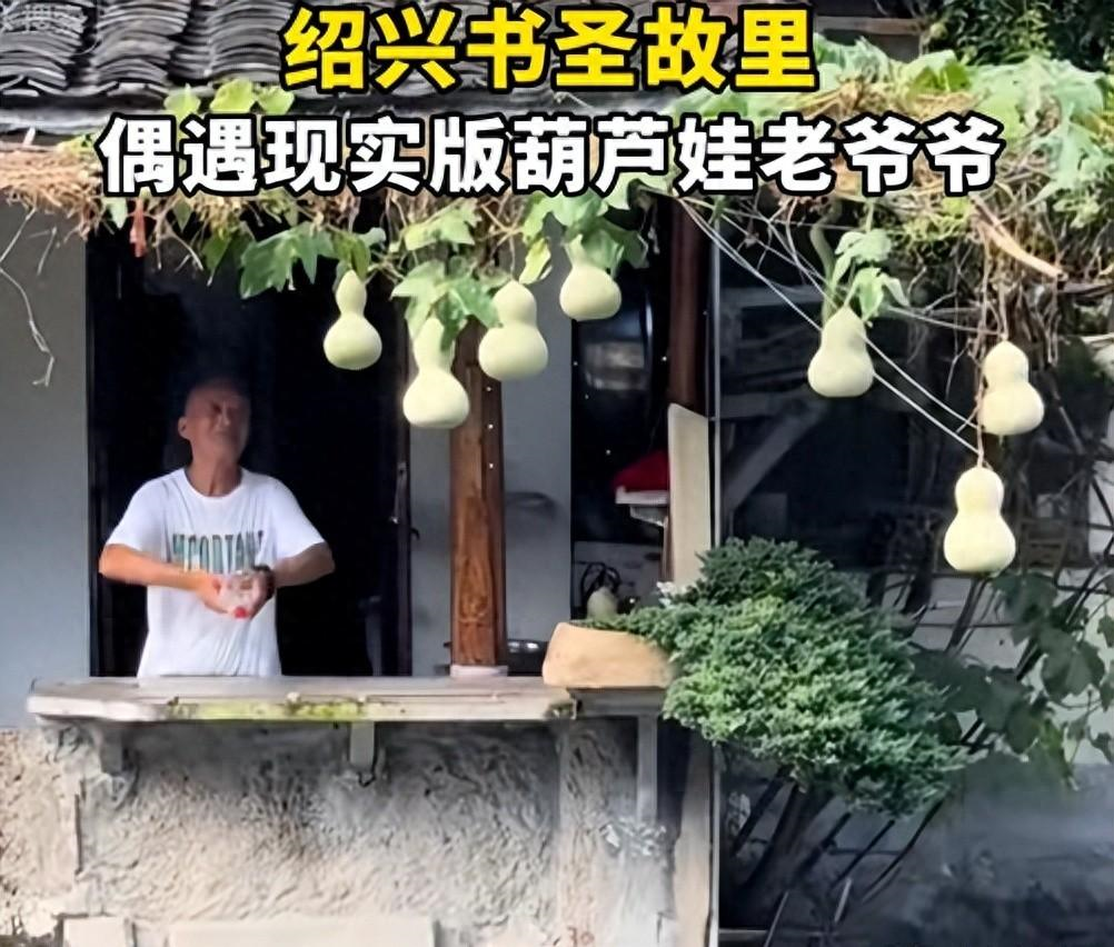 网红观察 | 童话破灭!大量游客网红围堵,葫芦娃爷爷被迫剪掉全部葫芦