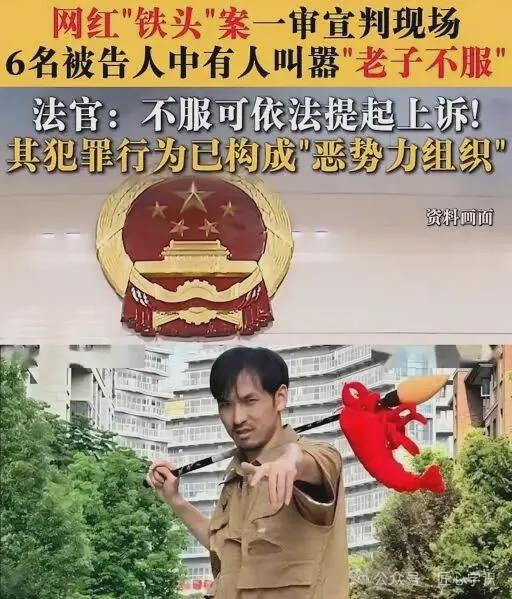 网红观察 | 网红“铁头”判刑8年,高举大旗也救不了他