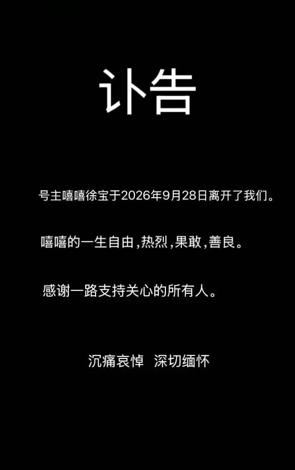 25岁网红博主去世！曾自述：爱熬夜，每天在12点到2点间睡觉，常吃外卖不爱喝水